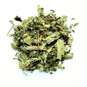 Ijzerhard blad (verbena)