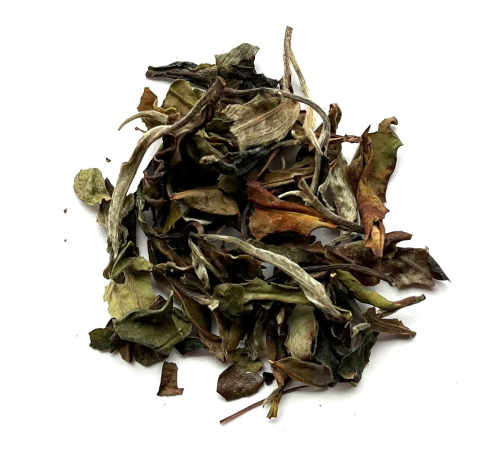 Pai Mu Tan - Bio