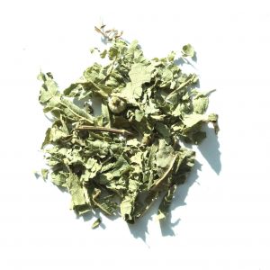 Ijzerhard blad (verbena)