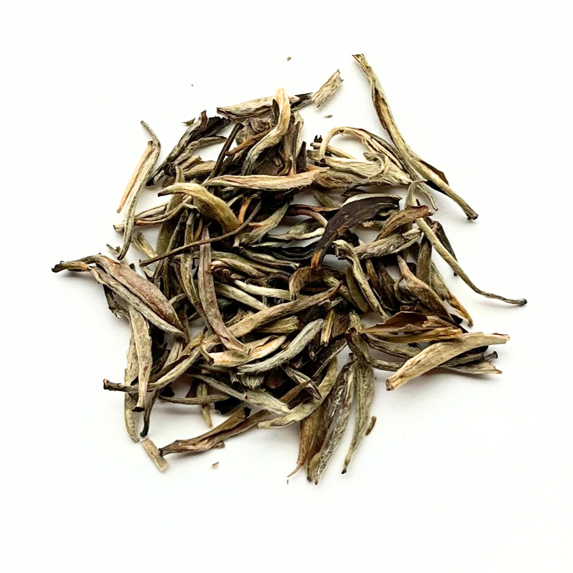 Silver Needle