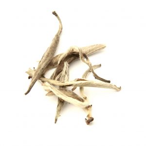 Silver Needle