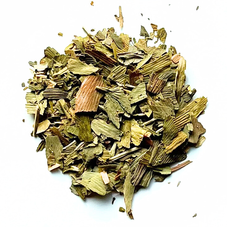 Ginkgo biloba blad