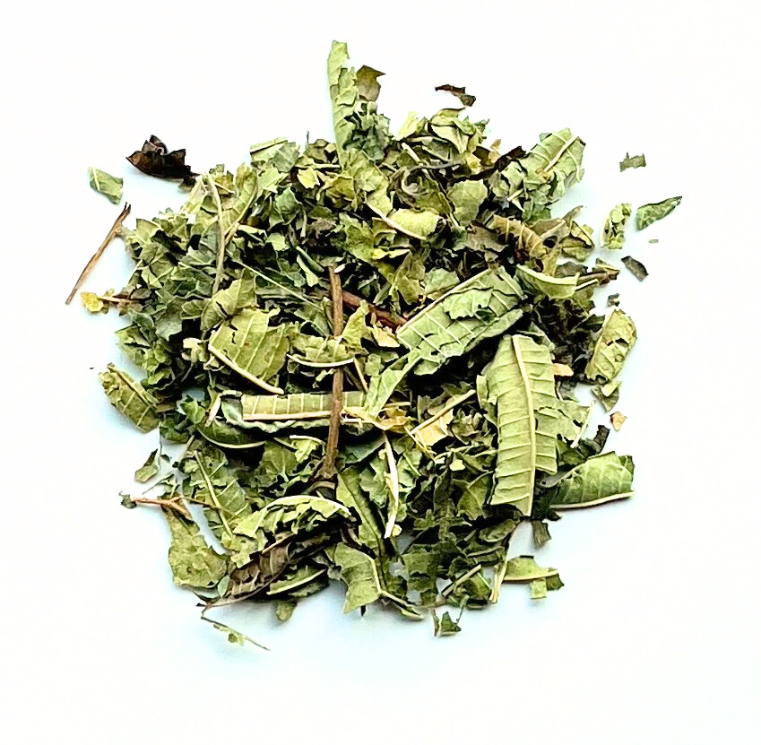 Ijzerhard blad (verbena)