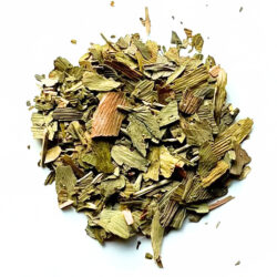 Ginkgo biloba blad