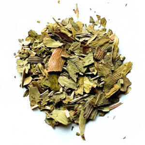 Ginkgo biloba blad