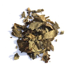Ginkgo biloba blad