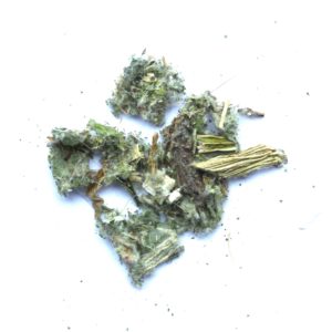 Artisjok - blad