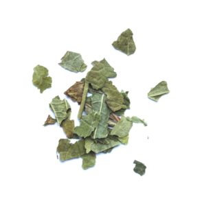 Zwarte bes - blad