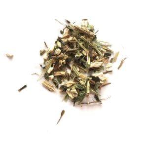 Rode Zonnehoed (Echinacea purpurea)