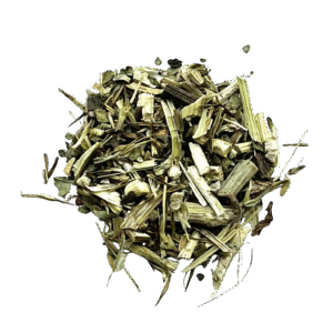 Rode Zonnehoed (Echinacea purpurea)