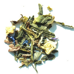 Middagdroom - Bio