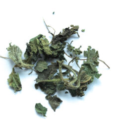 Brandnetel - Bio