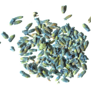 Lavendel