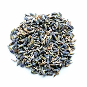 Lavendel